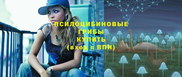 СК Михайловск