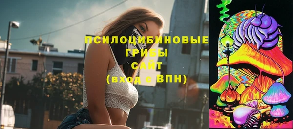 СК Михайловск