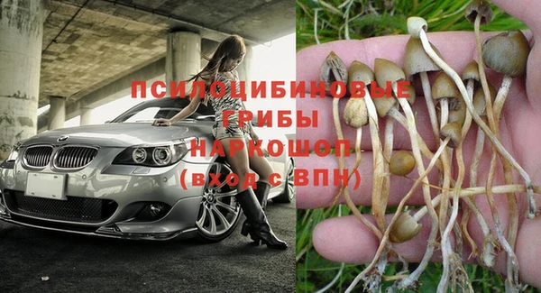 СК Михайловск