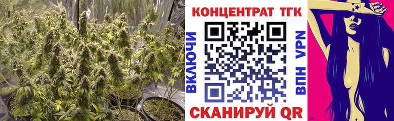 МЕГА как войти  Дивногорск  ТГК концентрат  где купить наркоту 
