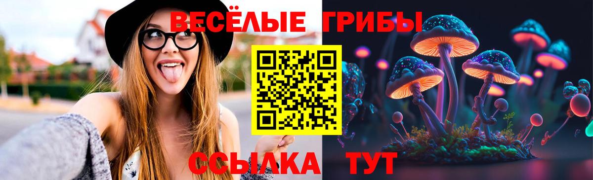 Псилоцибиновые грибы MAGIC MUSHROOMS  Псилоцибиновые грибы прущие грибы  Дивногорск 