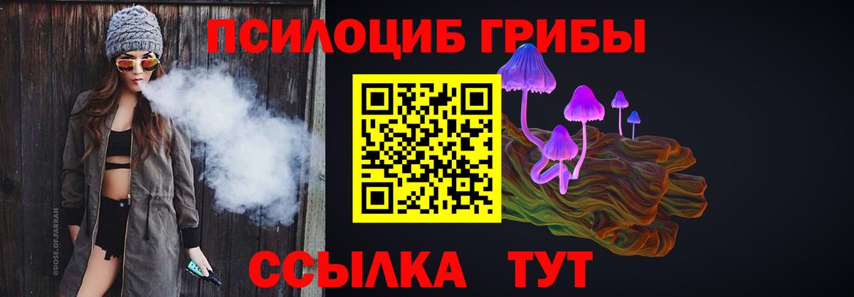 наркота  Псилоцибиновые грибы MAGIC MUSHROOMS  Вход с VPN  Дивногорск  Галлюциногенные грибы Magic Shrooms 