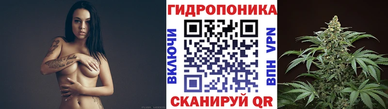 Бошки марихуана AK-47 Дивногорск